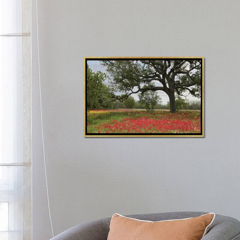 iCanvas "Drummond's Phlox Meadow Near Leming, Texas" by Tim Fitzharris